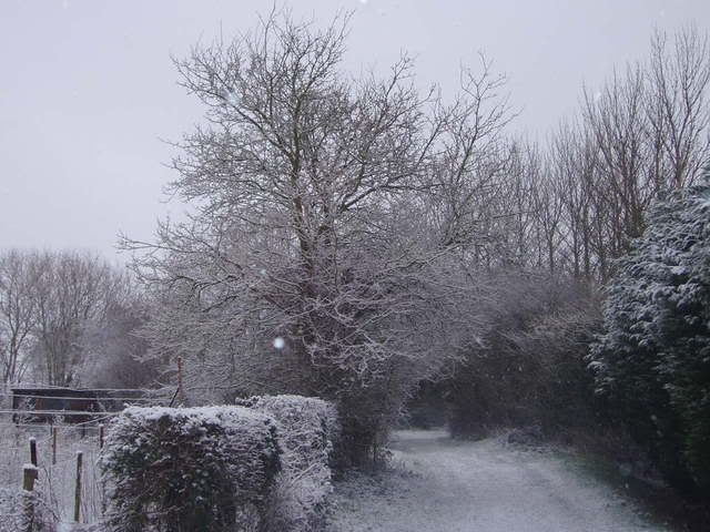 snowywalk002.jpg
