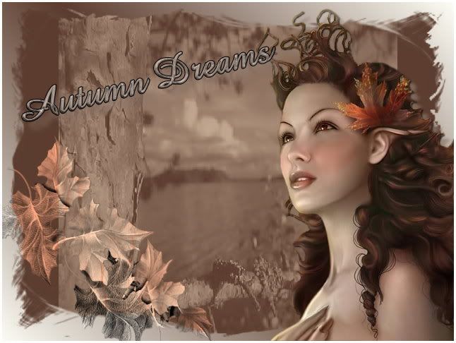 Autumn Dreams Pictures, Images and Photos