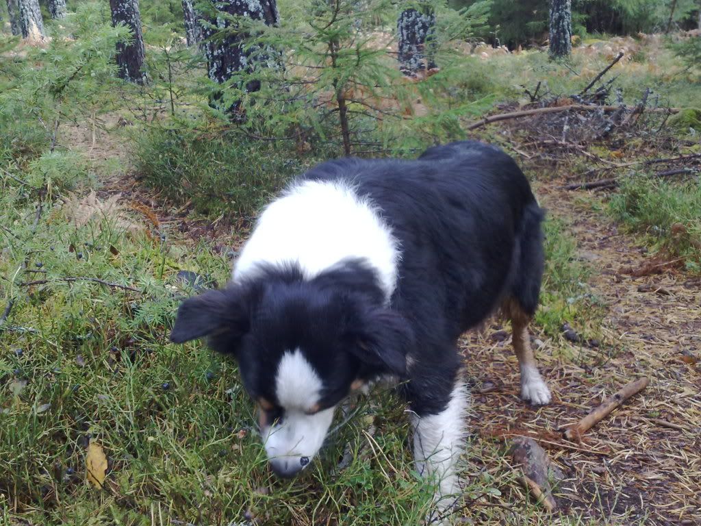 20091007184.jpg