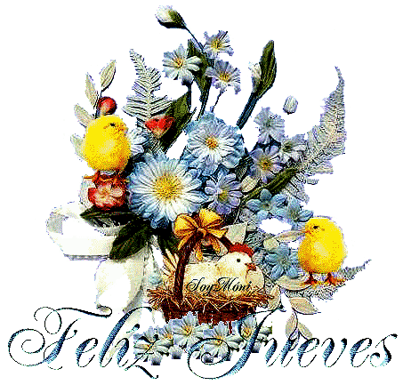 ae0d4d0b6f.gif image by contigo13