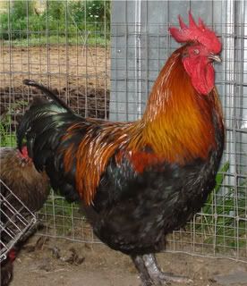 http://i236.photobucket.com/alb...
