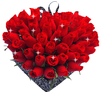 roses Pictures, Images and Photos