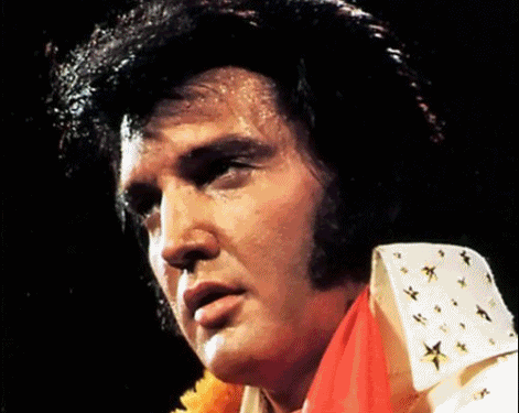 facesofelvis.gif Bundygirl's Graphic's image by trish49