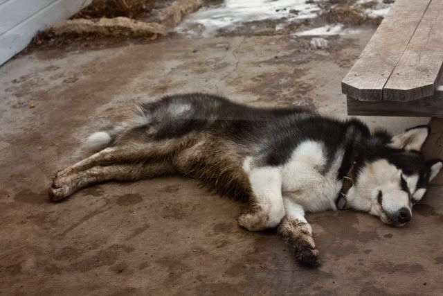 IMAGE: http://i236.photobucket.com/albums/ff74/CrackerPics/Yoshi%20Pics/IMG_8142.jpg