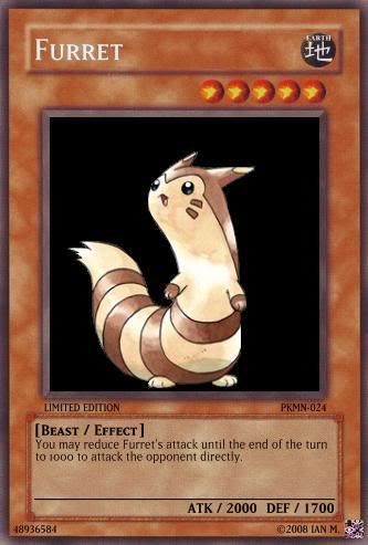 FurretCard.jpg
