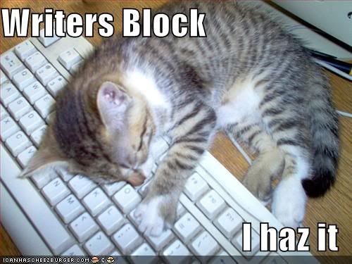 Writers Block Kitty