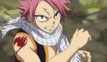 Fairy Tail 014