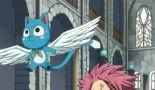 Fairy Tail 025