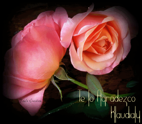 Roses.gif picture by Klaudialy