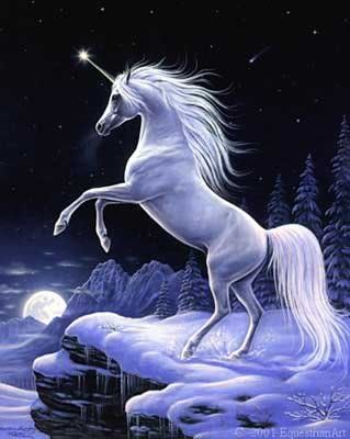 unicornio44-full.jpg picture by Klaudialy