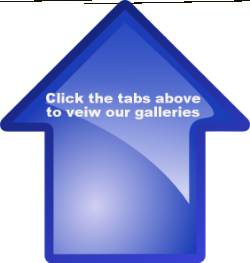  photo e56d5854-a168-4e97-81f3-899aa02daf04_zpse2b07b73.png