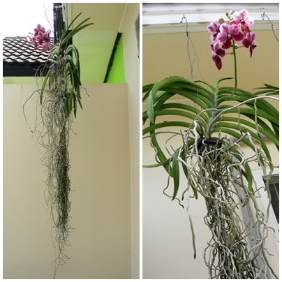 บางสิ่งบางอย่างที่หลงลืมไป