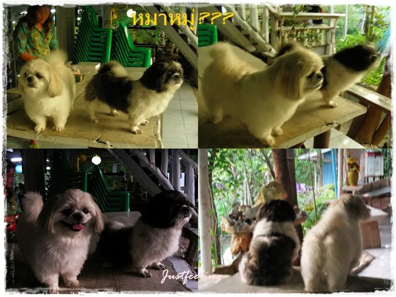 พ า เ ด็ ก ข่ ง ไ ป เ ที่ ย ว