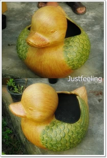 คราช สการ์ หรือว่า เร็กเก้