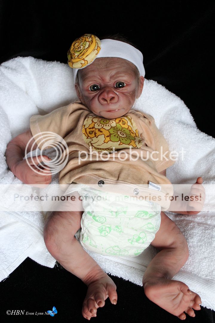 HBN* PROTOTYPE OOAK Reborn Baby Gorilla/Monkey ~ KIWI By Denise Pratt 