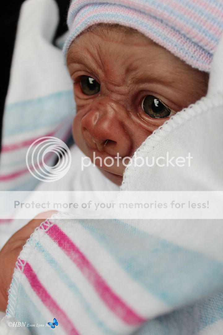 Prototype OOAK Reborn Baby Gorilla Monkey Kiwi by Denise Pratt