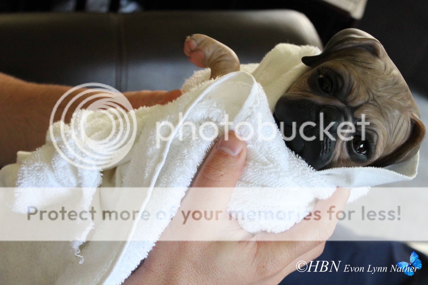 HBN Prototype OOAK Reborn Baby Pug Puppy Dog Denise Pratt Princess