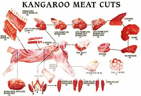  photo Kangaroo-meat-cuts_zpsqfjr225l.jpg