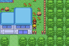 [PokeCommunity.com] Pokemon Golden sun
