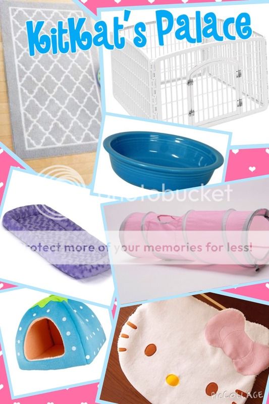  photo 4DF63C98-E9B9-4A93-9870-93DD37C40575_zpsanwvxqxj.jpg